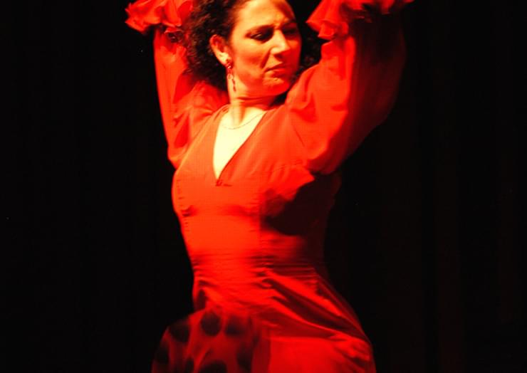 Camino del Flamenco photo