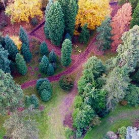 Harcourt Arboretum