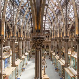 Museum of Natural History